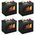 6 Volt Battery 4 Pack Z309905