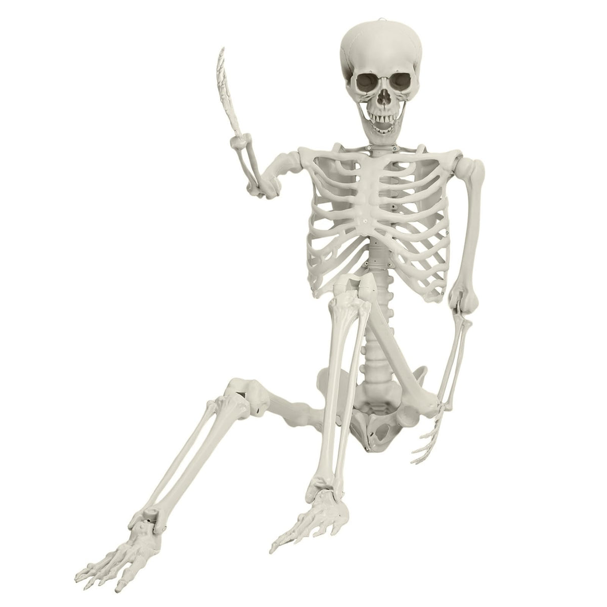 Life Size Poseable Skeleton I9345