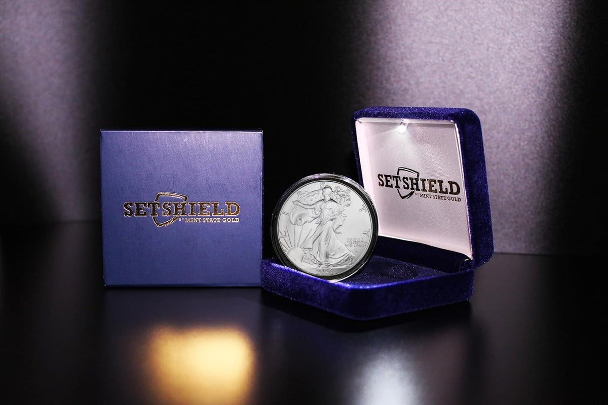 1 oz American Silver Eagle Coin with LED Presentation Box A70396