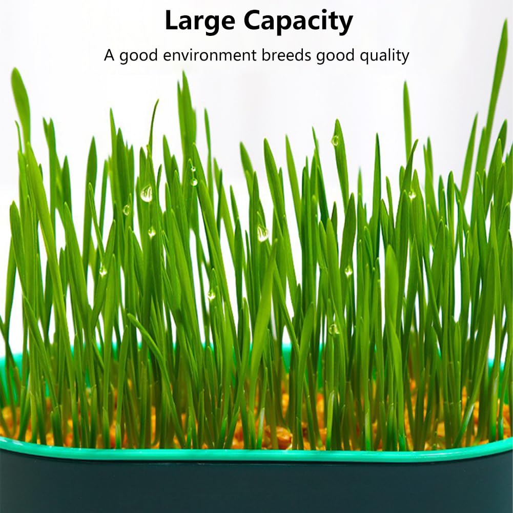 Cat Grass Planter Box, 3 Pcs Plastic Growing Trays V630