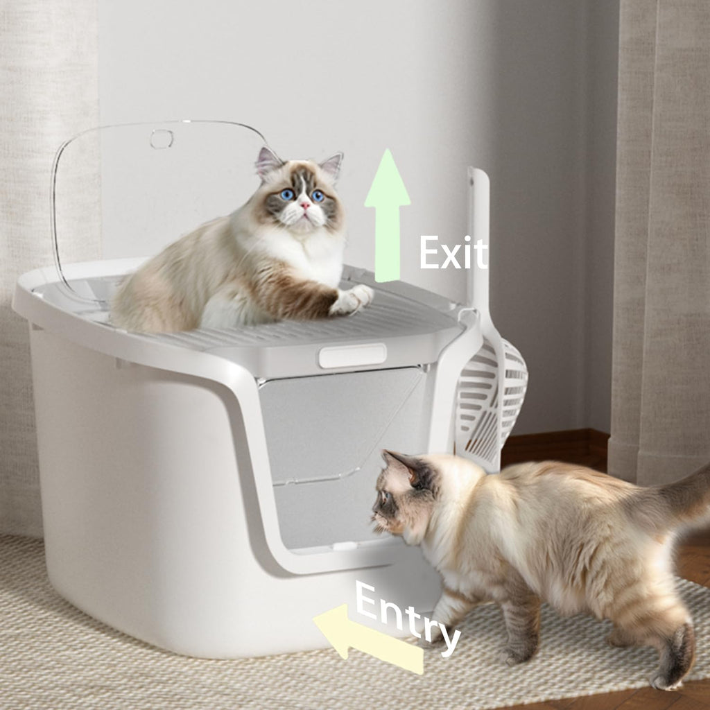 Molded Cat Litter Box with Scoop E27897