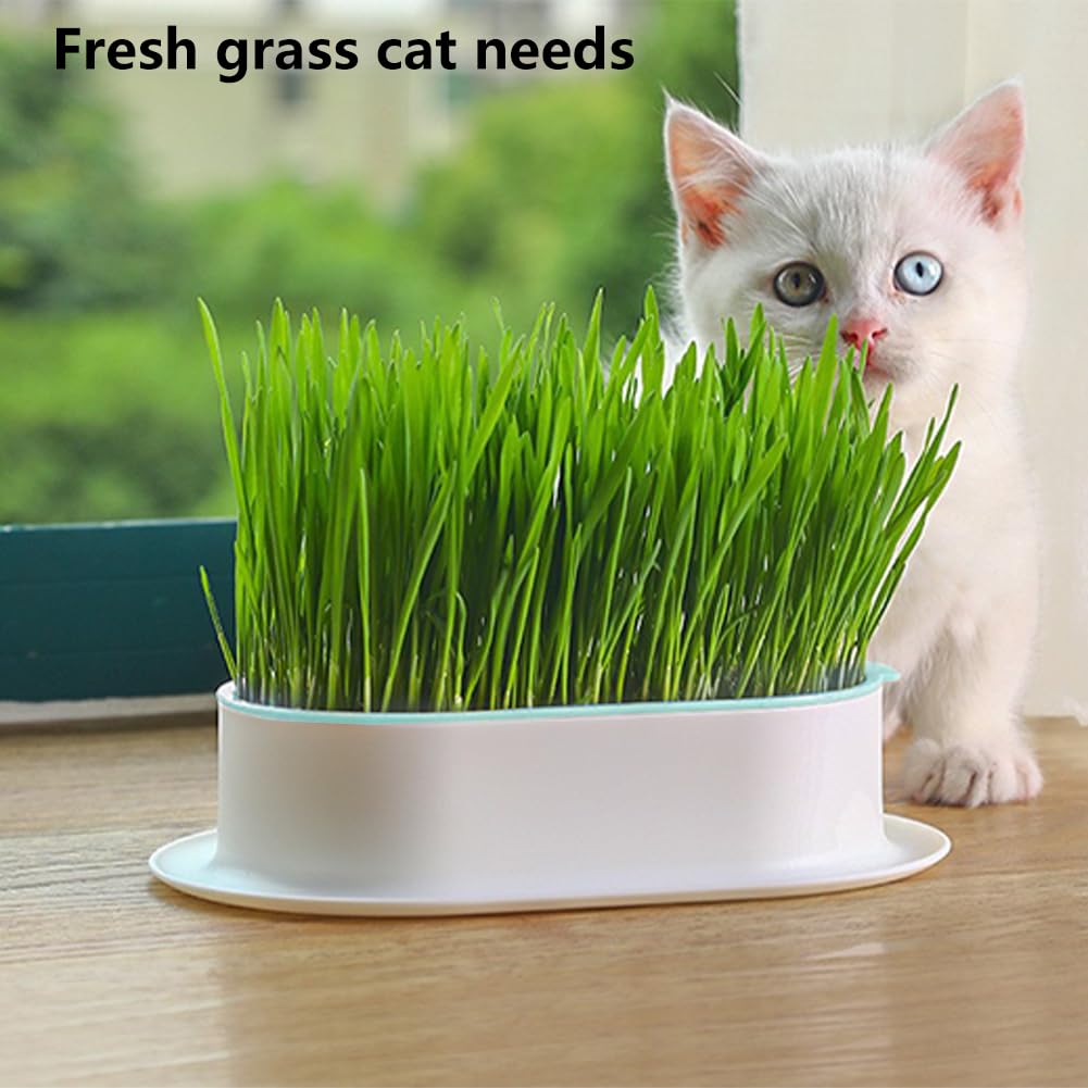Cat Grass Planter Box, 3 Pcs Plastic Growing Trays V630