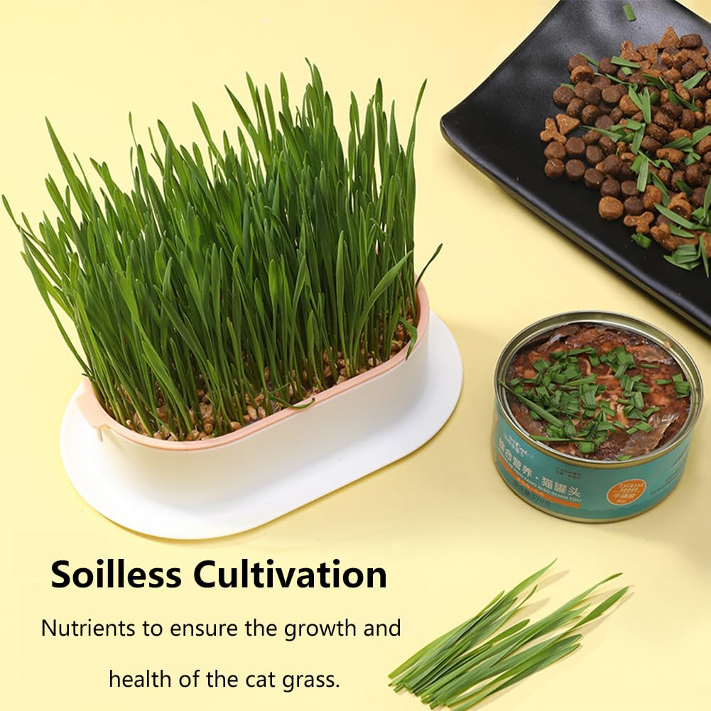 Cat Grass Planter Box, 3 Pcs Plastic Growing Trays V630