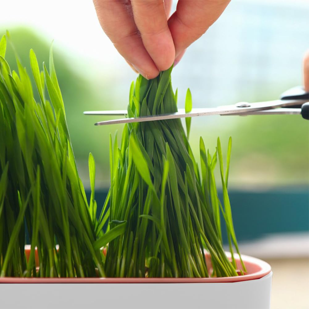 Cat Grass Planter Box, 3 Pcs Plastic Growing Trays V630