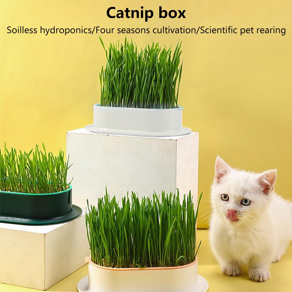 Cat Grass Planter Box, 3 Pcs Plastic Growing Trays V630