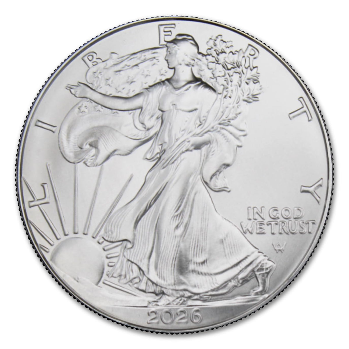 1 oz American Silver Eagle Coin with LED Presentation Box A70396