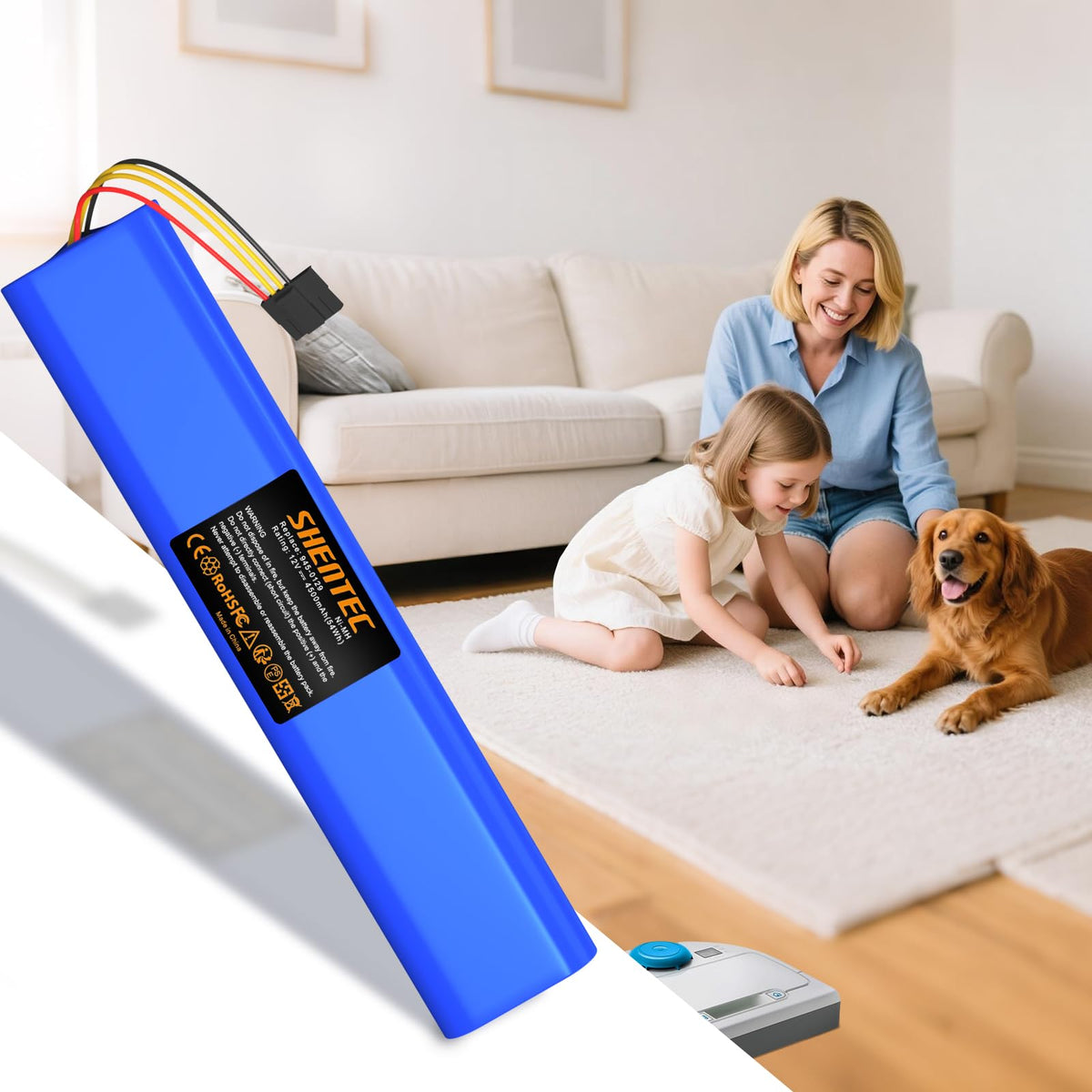 12V Ni-Mh Battery C939