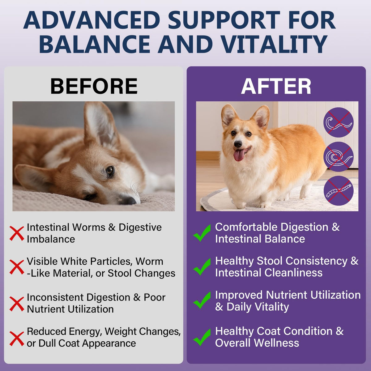 7 Way Dog Dewormer 3.4 fl oz U549