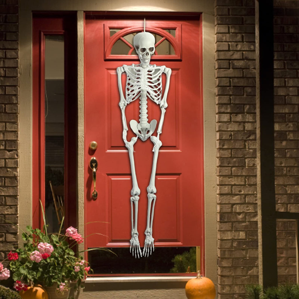 Life Size Poseable Skeleton I9345