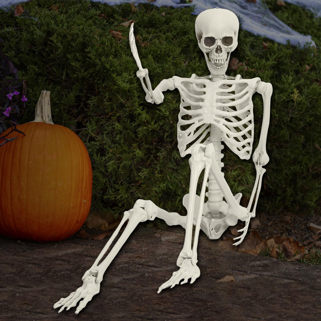 Life Size Poseable Skeleton I9345
