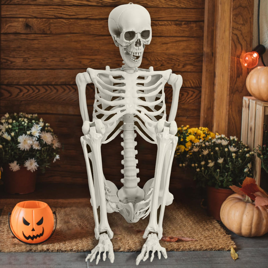 Life Size Poseable Skeleton I9345