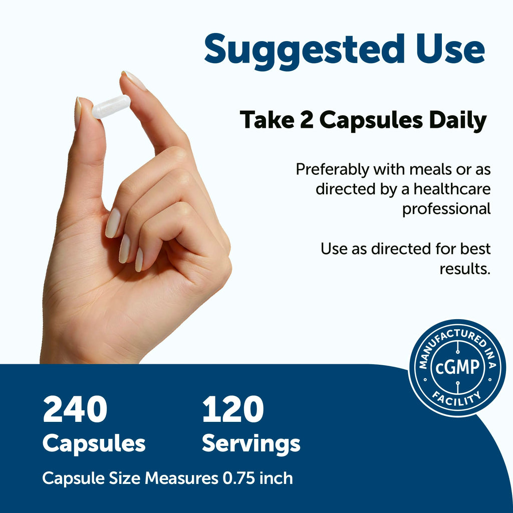 240 Capsules Multivitamin with B Complex & Methylfolate W9981