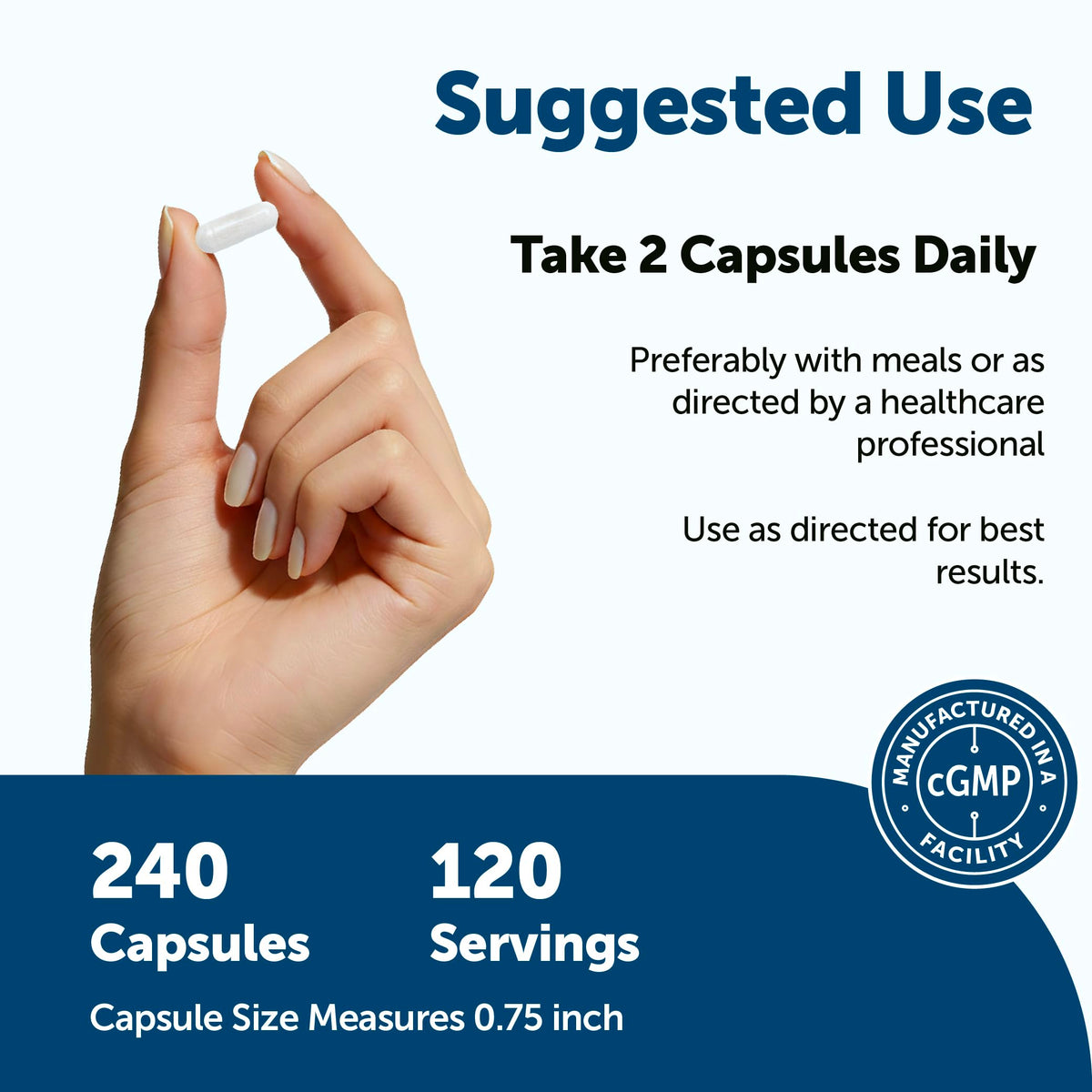240 Capsules Multivitamin with B Complex & Methylfolate W9981