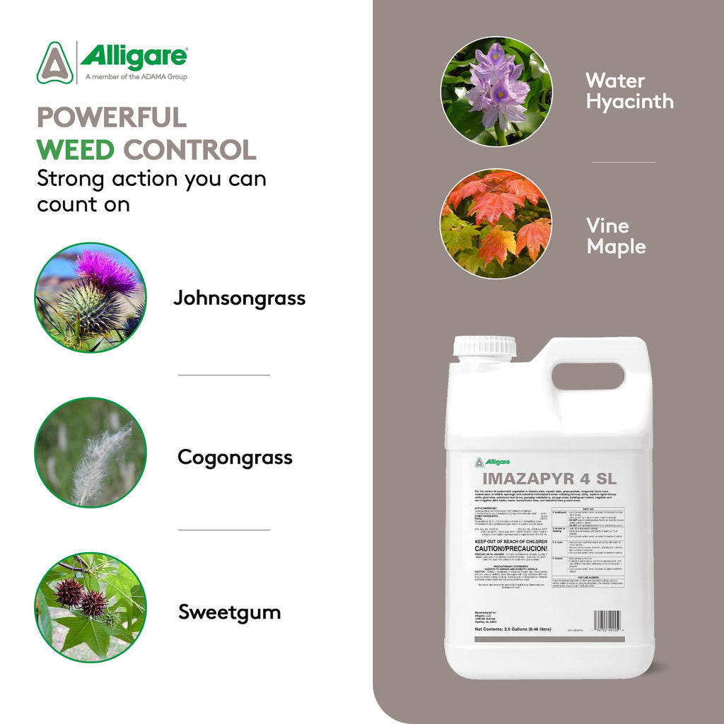 Imazapyr 4 SL Herbicide 2.5 Gallon Liquid Weed Killer U678899