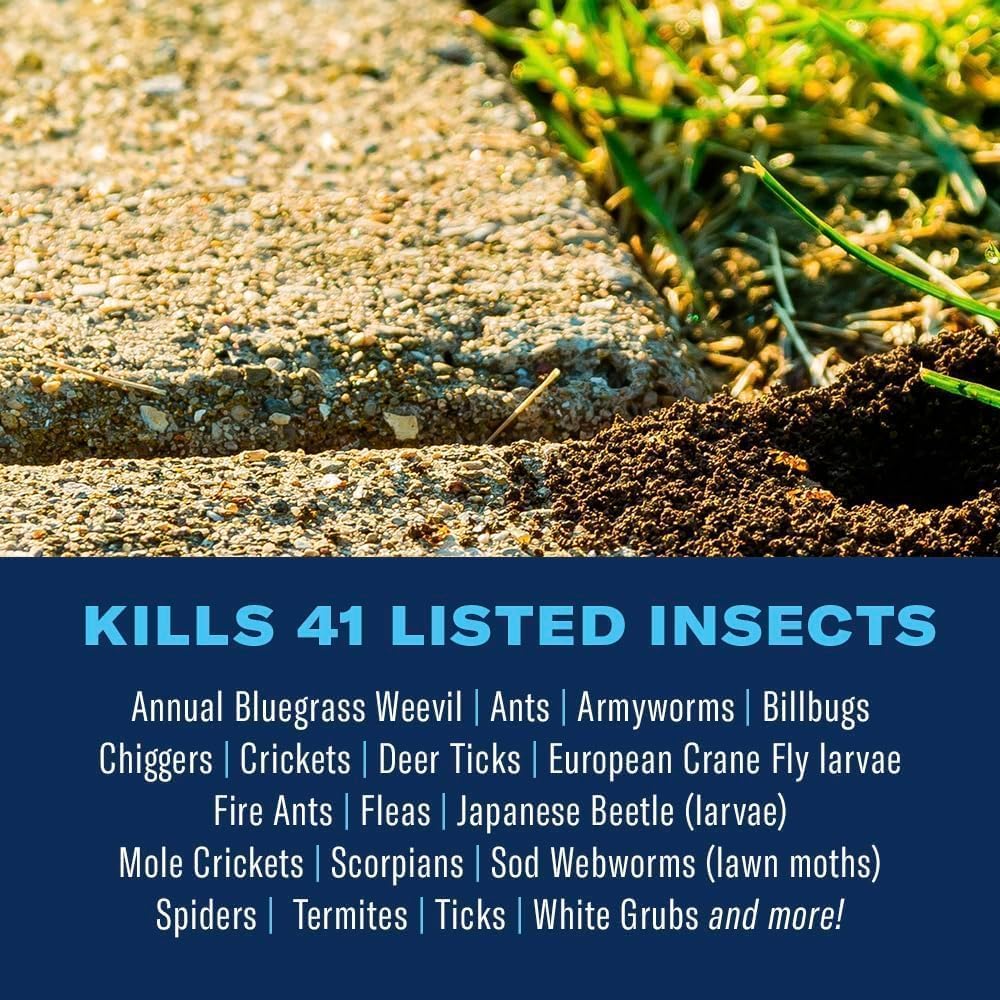 Insect Killer Granules 10 lb Bag Z4688