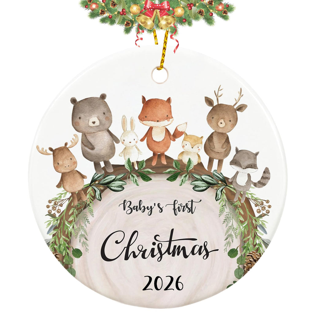 Baby First Christmas Ornament 2026 C9343