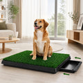 25 x 20 in Dog Grass Pad with Tray E79474