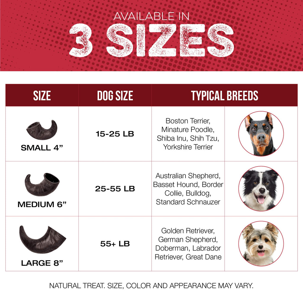 4 Pack Large 8-Inch Dog Horn Chews D175469