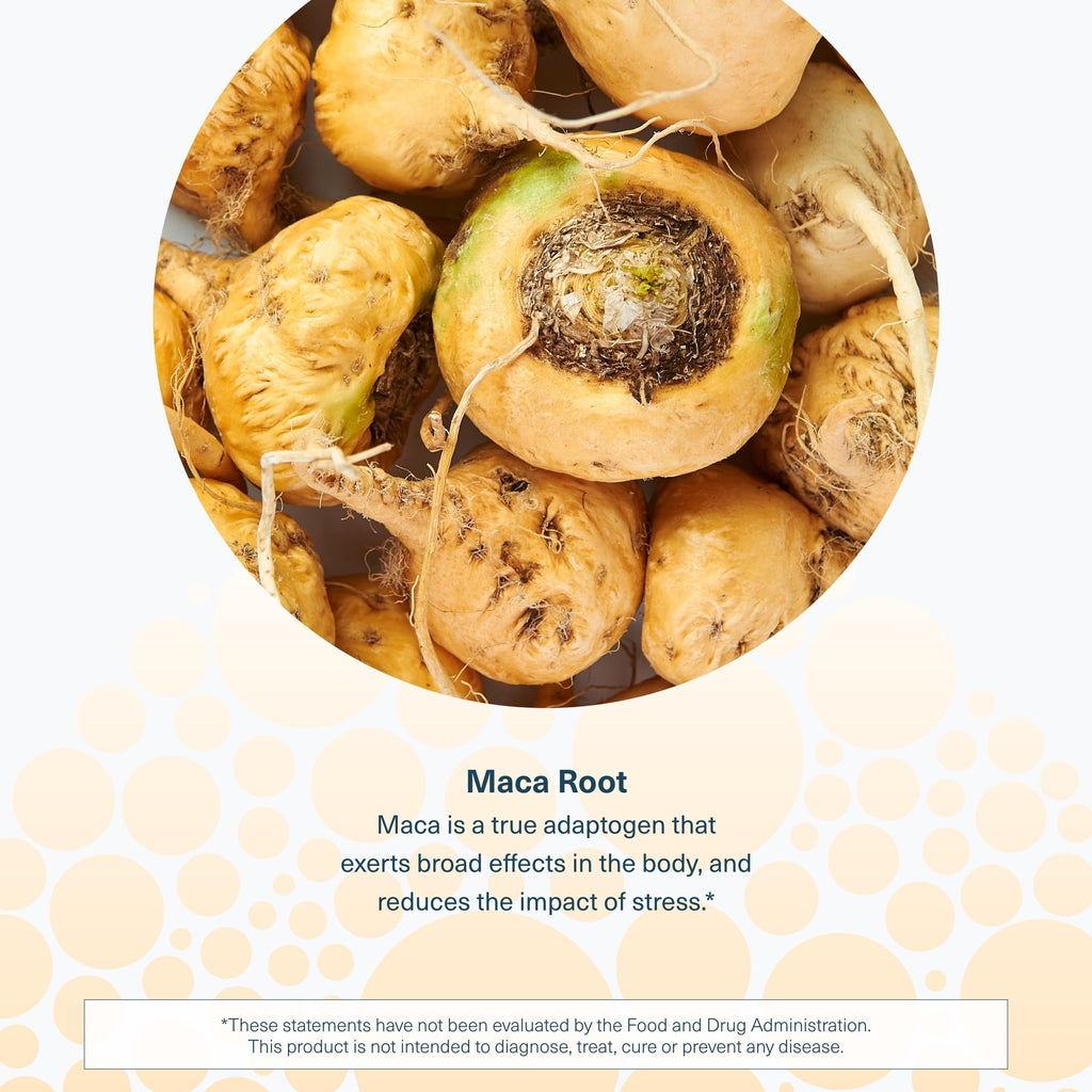 Maca Root 120 Vegetarian Capsules R61401