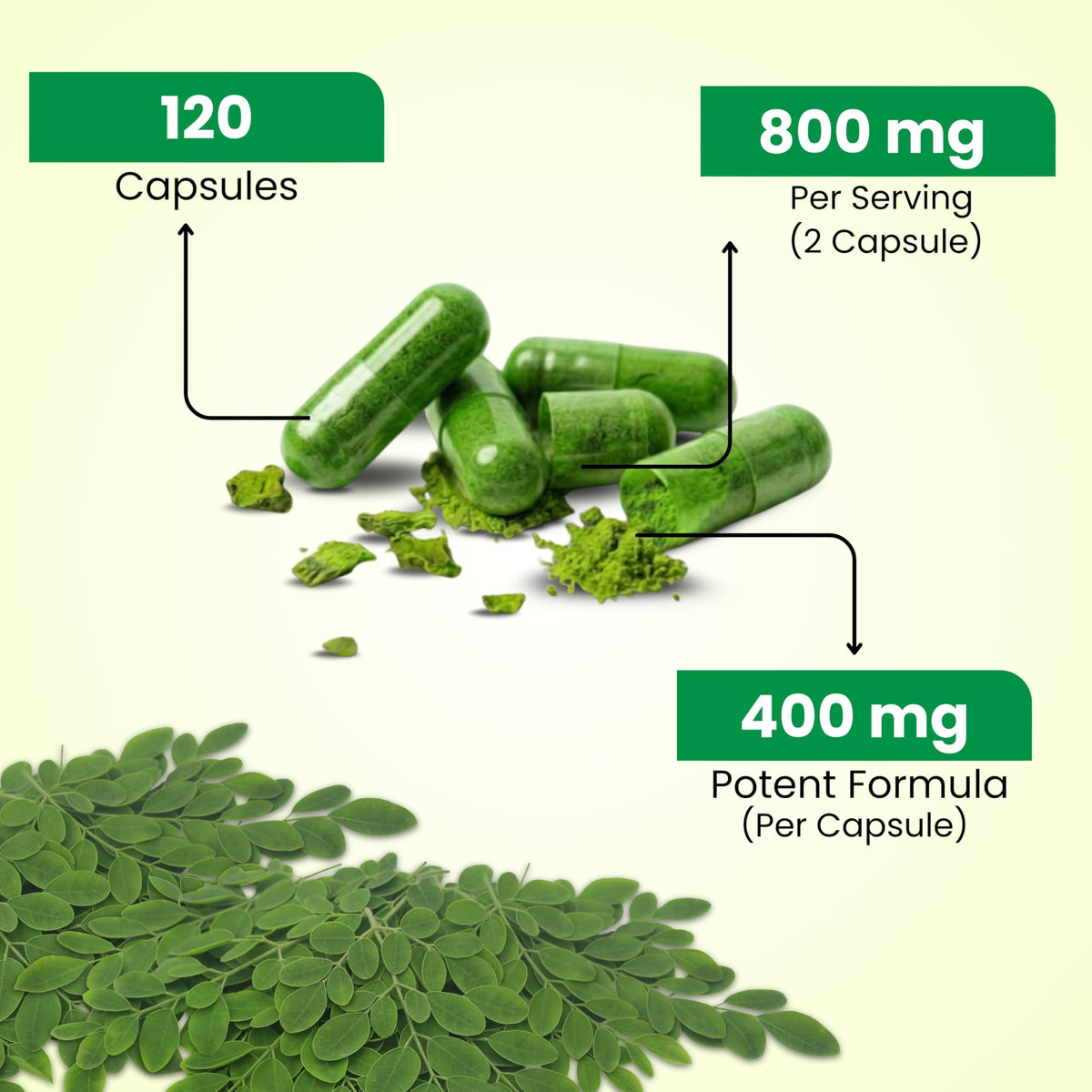 Moringa Capsules 120 Capsules H45016