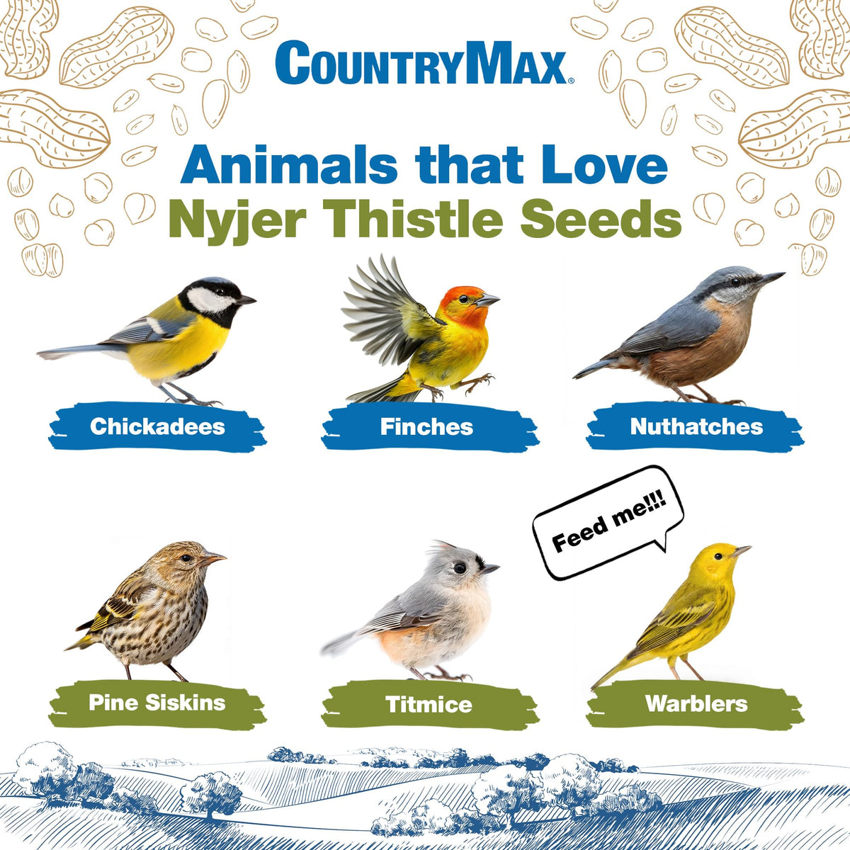 Nyjer Seed for Finches & Songbirds N4058
