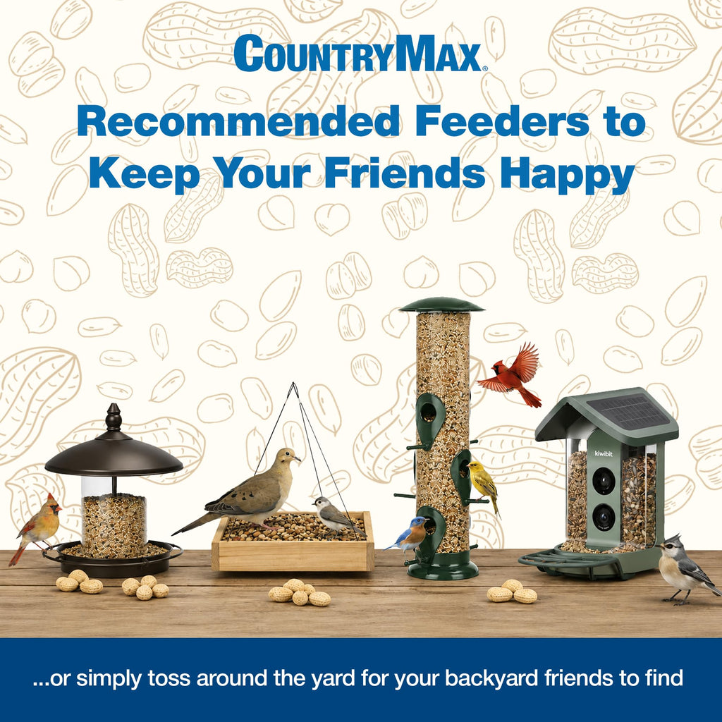 Nyjer Seed for Finches & Songbirds N4058