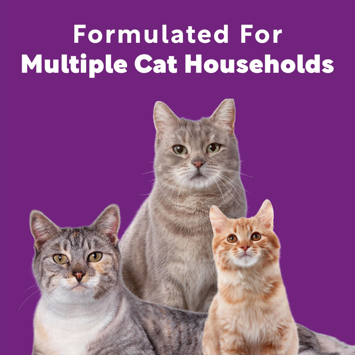 Multi Cat Litter Meadow Fresh Scent 14 lb R39773