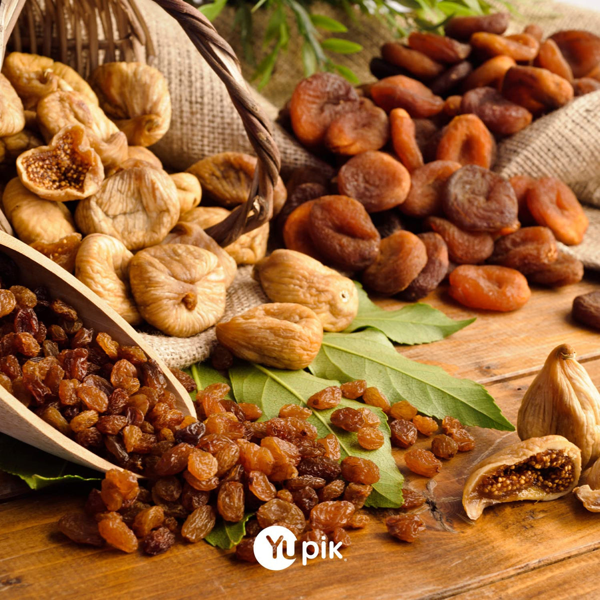 Dried White Mulberries 2.2 lb Q2428